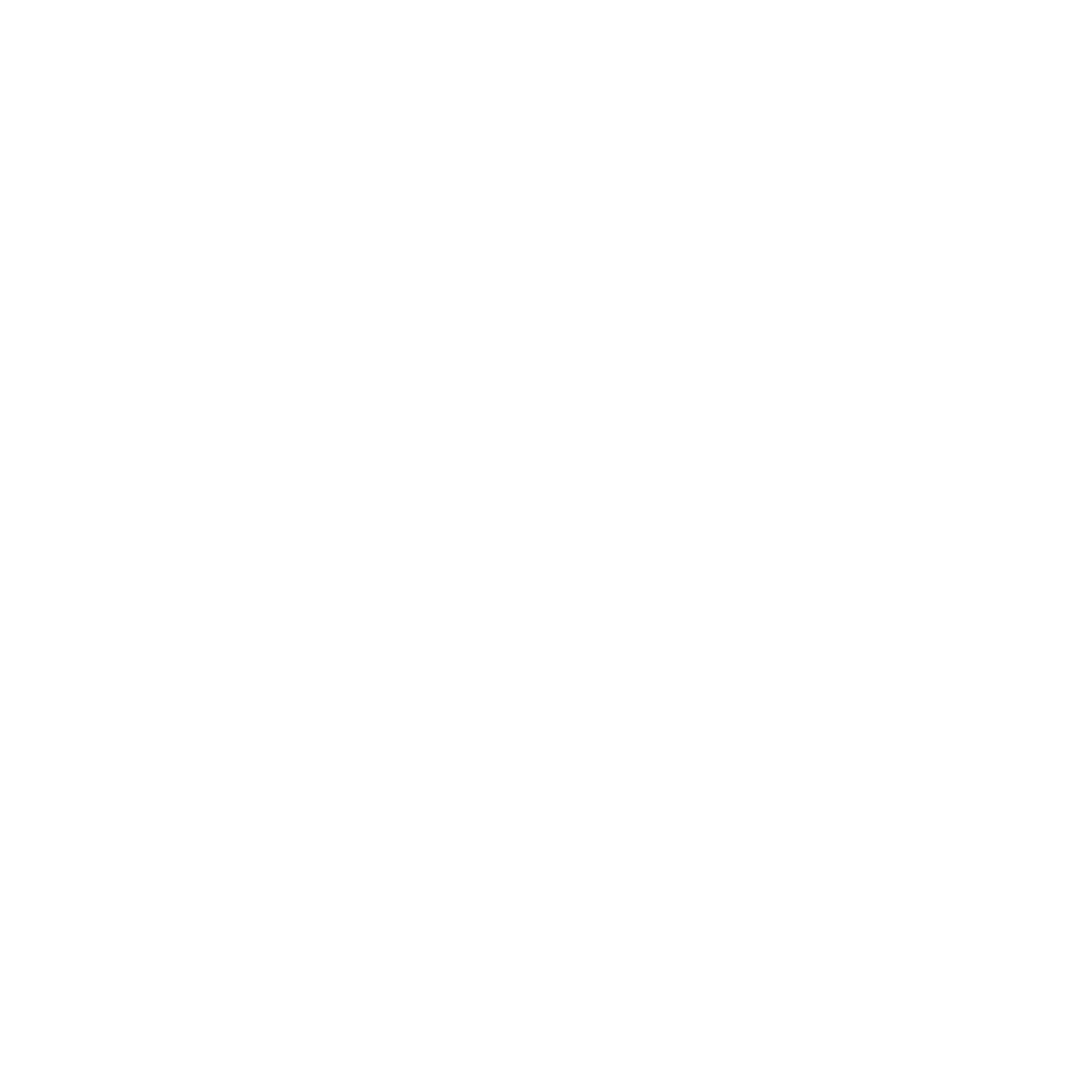 Payne Law